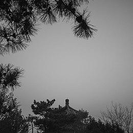 招聘信息显示《深海迷航》开发商正开发系列新作